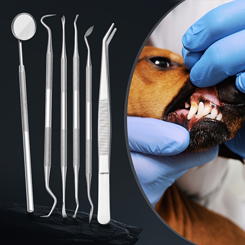 6 قطع من أجهزة إزالة الجير بال - مراجعة Teeth Whitening Mouthwash وسعره